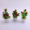Cây cảnh hình trái cây