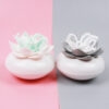 Tăm xỉa răng chai Lotus