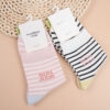 Vớ cotton màu sắc tươi trẻ cho nữ Muerma 8584